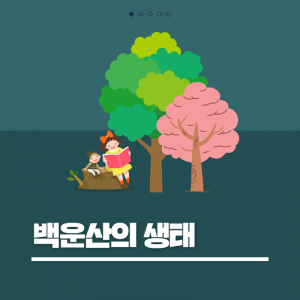 백운산의 생태