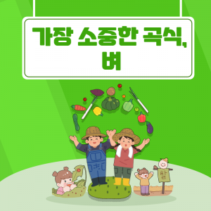 가장 소중한 곡식, 벼